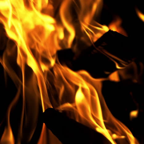 burning wood in slow motion. bonfire. the fire is lit in the night