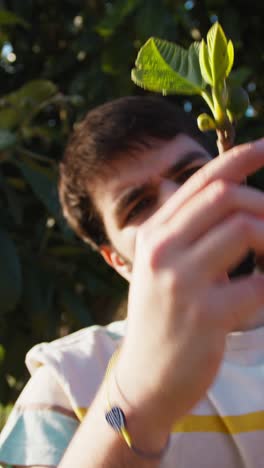farmer checks the health of a tree by inspecting the leaves