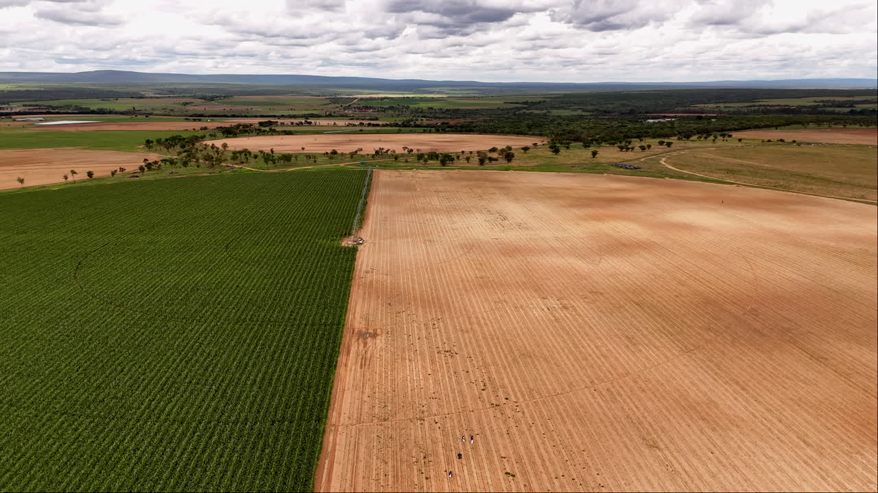 Lush green and dry farm fields under cloudy skies, vast and serene, aerial view
