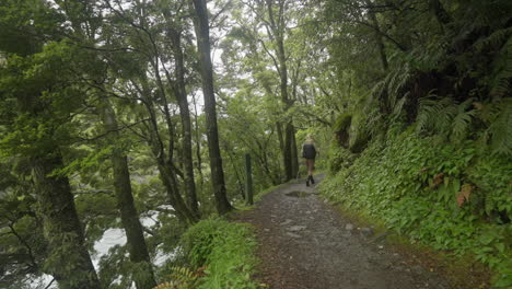mochilero femenino usando bastones de caminata nórdica en la pista de caminata por la naturaleza, nueva zelanda