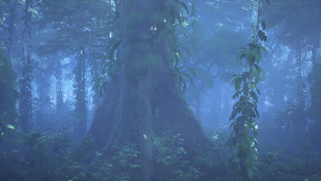 la niebla mística de la jungla