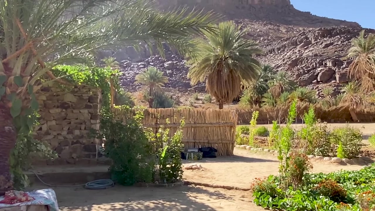 Un ponte semplice e rustico fatto di fronde di palma legate che attraversa un piccolo sentiero sabbioso in un lussureggiante giardino illuminato dal sole con vegetazione e terreno roccioso