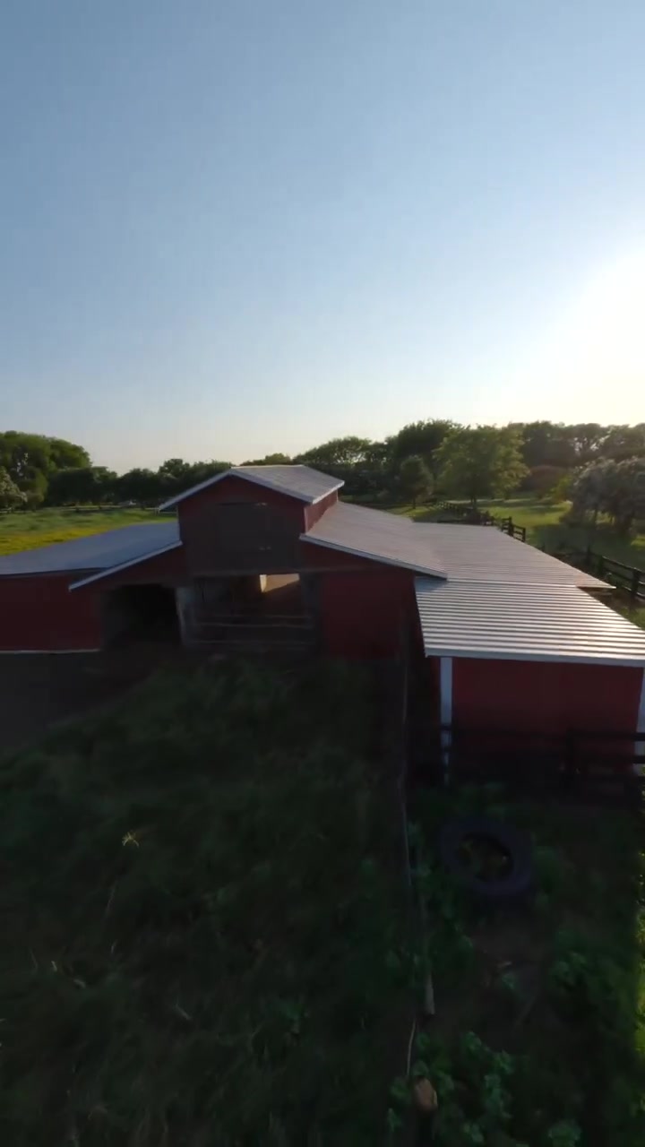 Lav og medium til hurtig video, der flyver over en mark med vilde blomster på en gård, mens den nærmer sig en lade med heste under den gyldne time i landlige Tennessee.