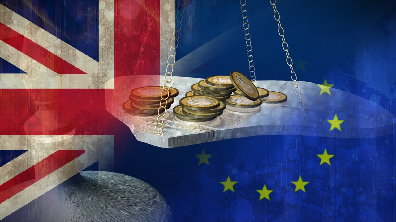 동전 스케일 비디오