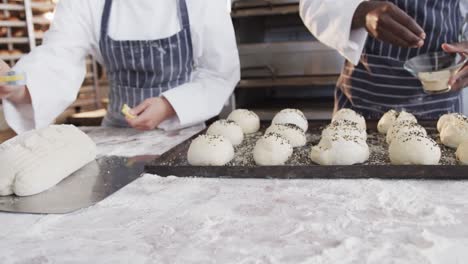 diverse bakers working in bakery kitchen, sprinkling seeds on rolls in slow motion