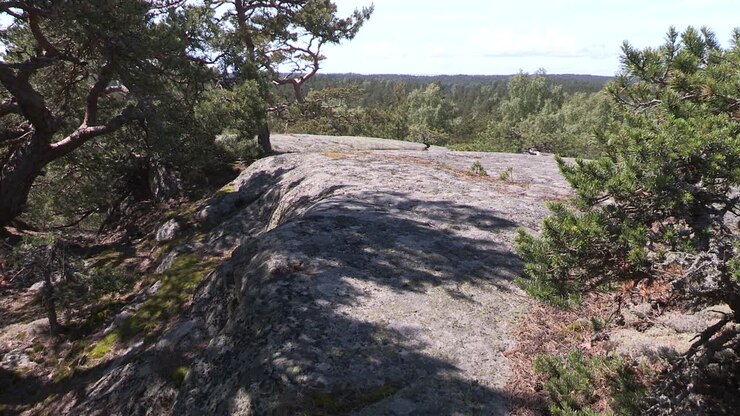Bedrock, granite in Finland with trees-1