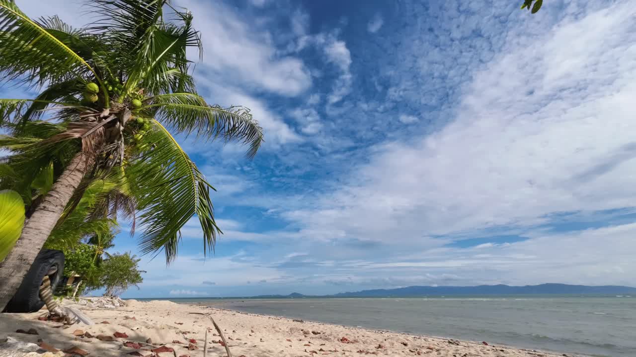 Filmato in timelapse di una spiaggia tropicale a Koh Phangan, Thailandia, con una palma inclinata in primo piano, mare calmo, montagne in lontananza e nuvole suggestive che si muovono nel cielo. Nessuna persona
