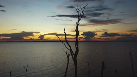 hermosa puesta de sol en el río con pocos troncos de árboles secos