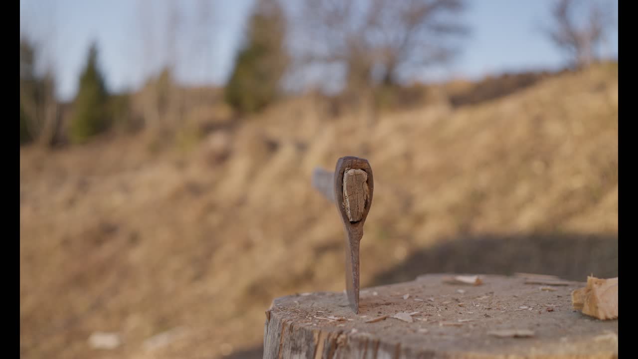Axe stuck in a tree stump