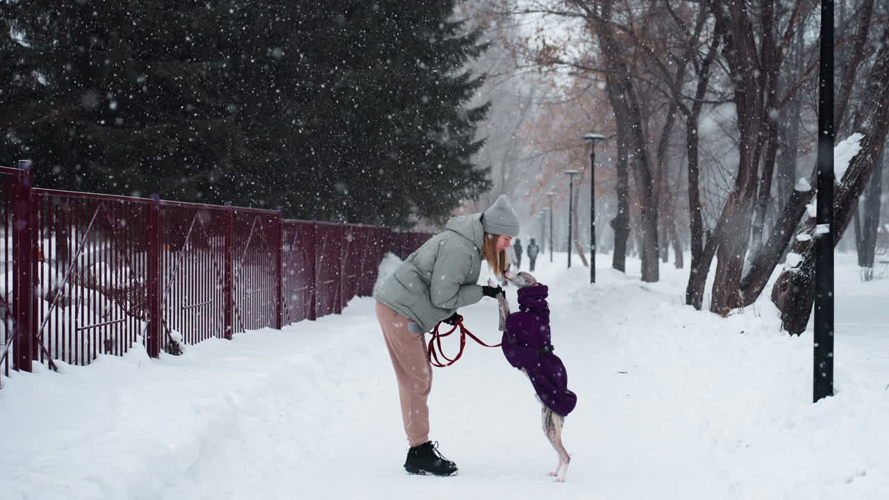 Lady playing with dog during snowfall in winter park, holding paws, dog standing on hind legs in purple coat, cheerful moment in snowy forest path with people walking in background