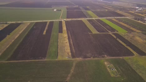 vista aérea de vastos campos en vrancea, rumania - disparo de drones en órbita