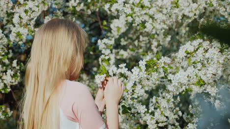 The-Niño-Admires-The-Flowering-Tree-The-View-From-Behind