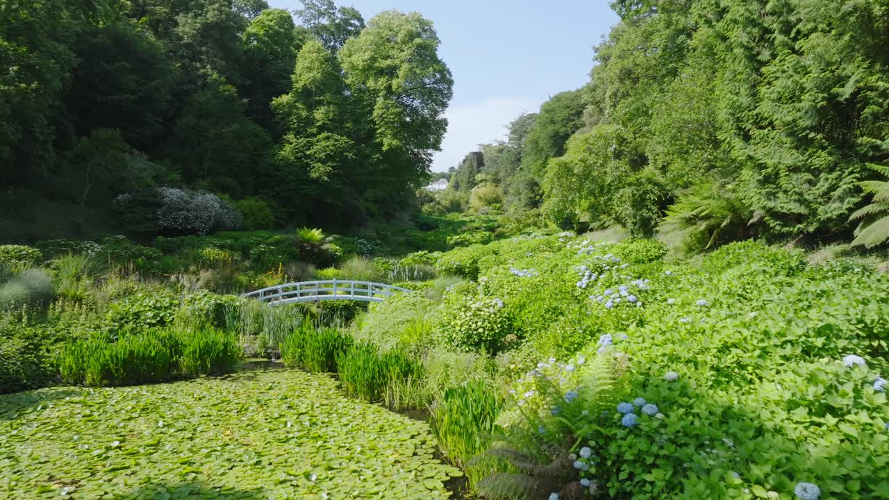 Tropical garden paradise in green tree lined valley with small white wooden footbridge. Camera flight over lily pad pond next to flowering bushes on summer day.
