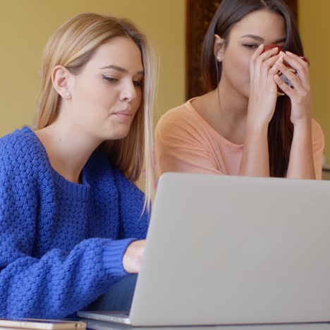 two happy young women browsing the internet