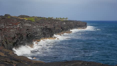 black lava flows that reached the blue pacific ocean show cliff formations and some vegetation growth