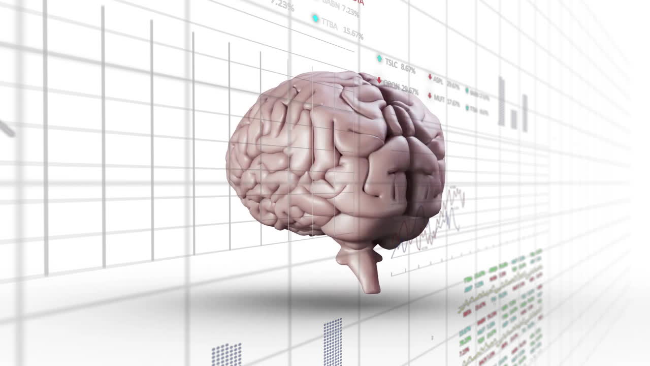 Animation of brain model with financial data charts in analytical school setting
