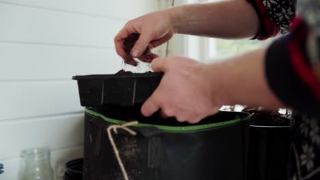 cropped view of a person putting loam soil in a seedlings disposable pot