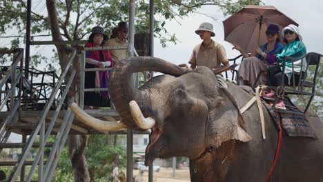 tourists riding an elephant