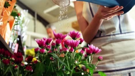 Florist-watering-flowers-in-flower-shop