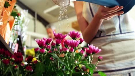 florist watering flowers in flower shop