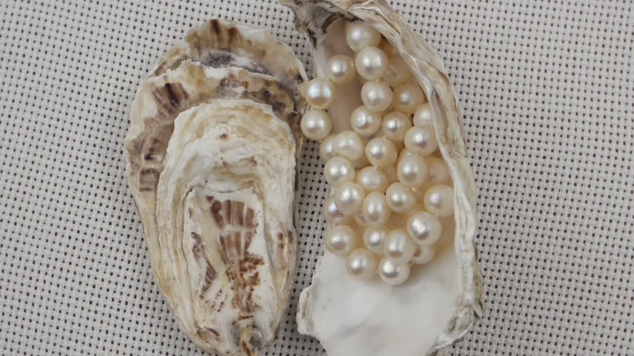 una concha de ostra con cuentas de perlas en ella