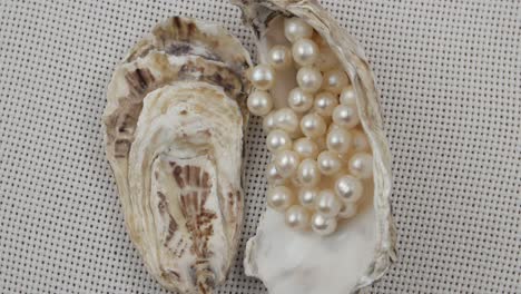 an oyster shell  pearl beads in it