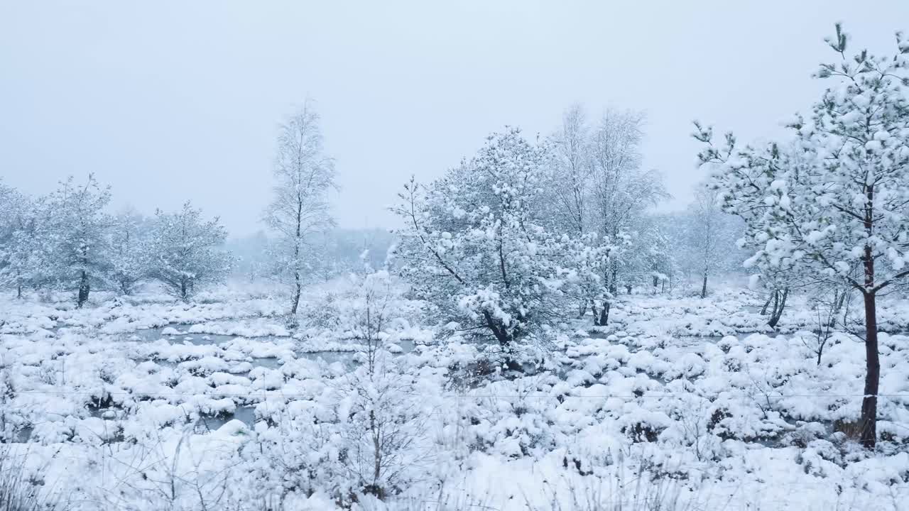 Snowy Winter Landscape with Trees and Marsh