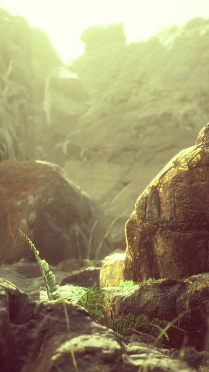 Exploring a serene rocky landscape with lush green vegetation at sunrise