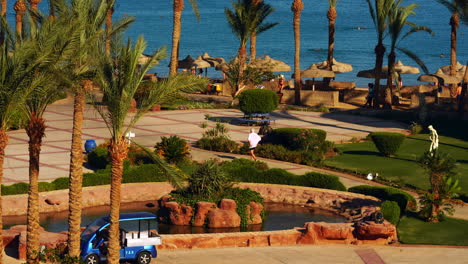 scenic landscapes of garden inside the beach resort of sentido palm royale in hurghada, egypt