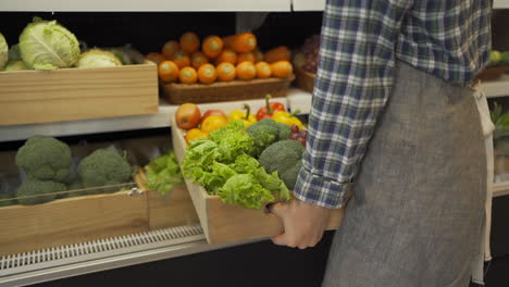 exhibición de productos de las tiendas de comestibles