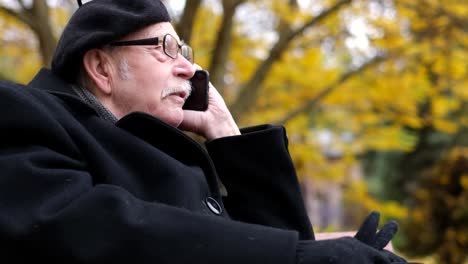 portrait of an old grayhaired man sitting on a park bench and talking on the phone autumn walk in the park portrait of an old grayhaired man in glasses sitting on a park bench and talking on the phone