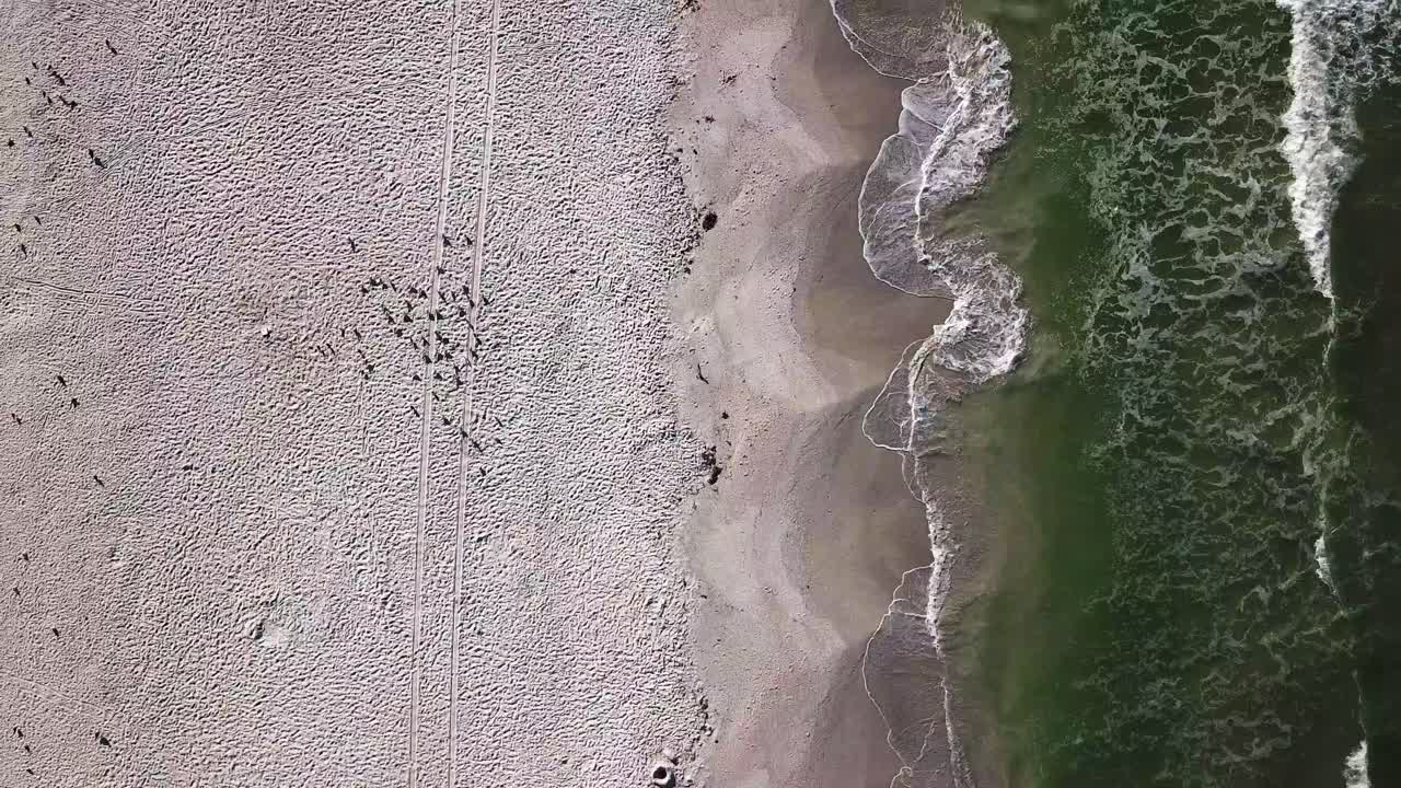 Lenta ripresa aerea in movimento della bellissima sabbia della spiaggia nel terzo sinistro, mentre una splendida acqua oceanica scorre nel terzo destro dell'inquadratura.