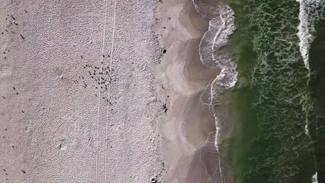 toma cenital en movimiento lento de la hermosa arena de la playa en el tercio izquierdo mientras hay una hermosa agua del océano fluyendo en el tercio derecho del marco