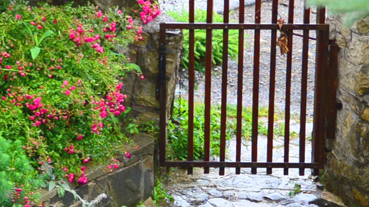 Rain and house. Gate in the yard