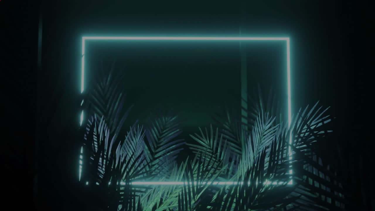 Animating cyan neon frame illuminating silhouetted palm fronds in dark animated illustration