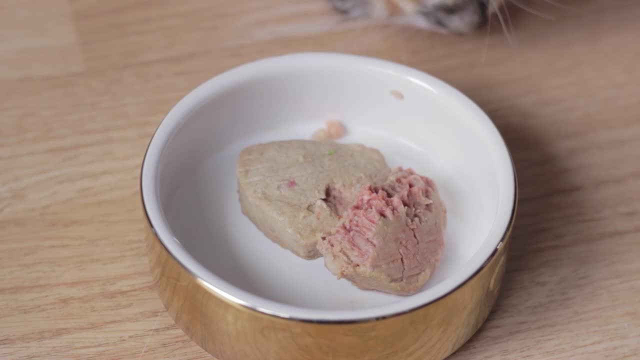 gato mascota calico comiendo comida de un tazón de comida de cerámica en un piso de madera dura en el interior