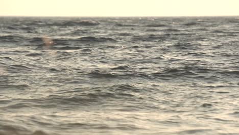 waves in a lake.
shot with sony a6400