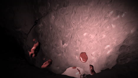 blood and vein animation