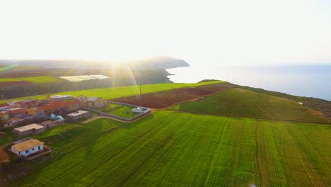 Luftdrohnenaufnahme-Von-Landwirtschaftlichen-Weizenfeldern