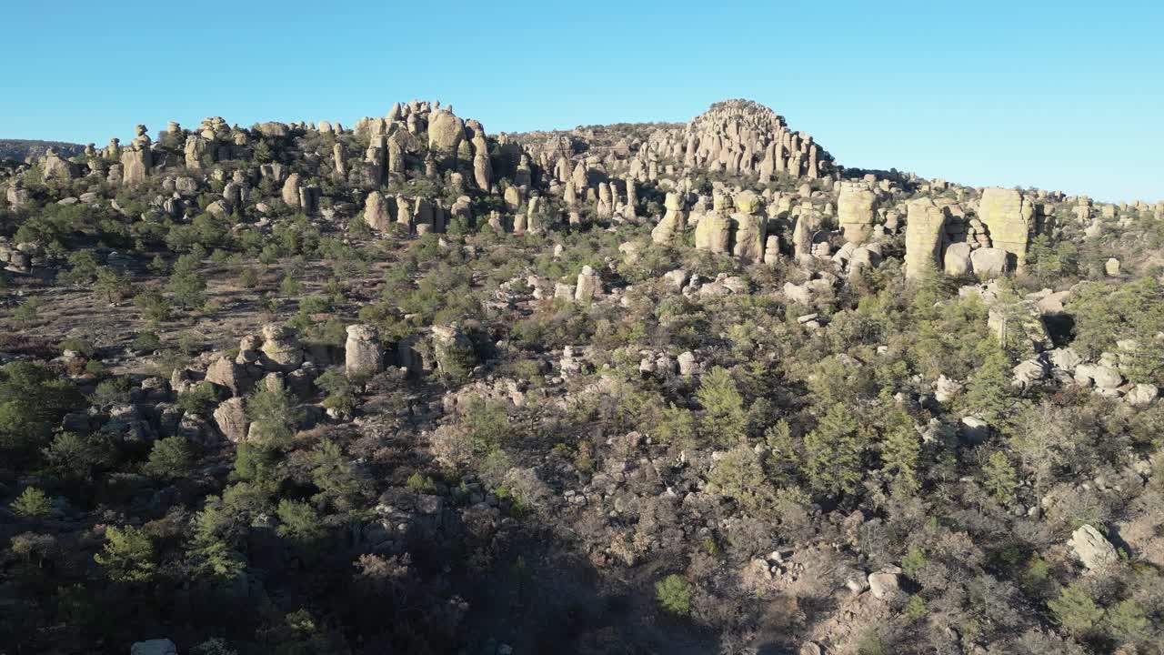 Rock formations and pine forest in Valle de los Monjes, Creel, Chihuahua, Mexico