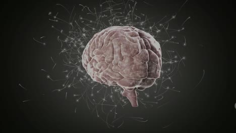 Animation-of-brain-rotating-over-green-and-black-background-with-neural-connections