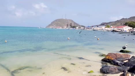 Pájaros-Pelícanos-Marrones-Posados-Sobre-Rocas-Y-Vuelan-Sobre-La-Superficie-Del-Agua-Mar-Caribe,-Los-Roques