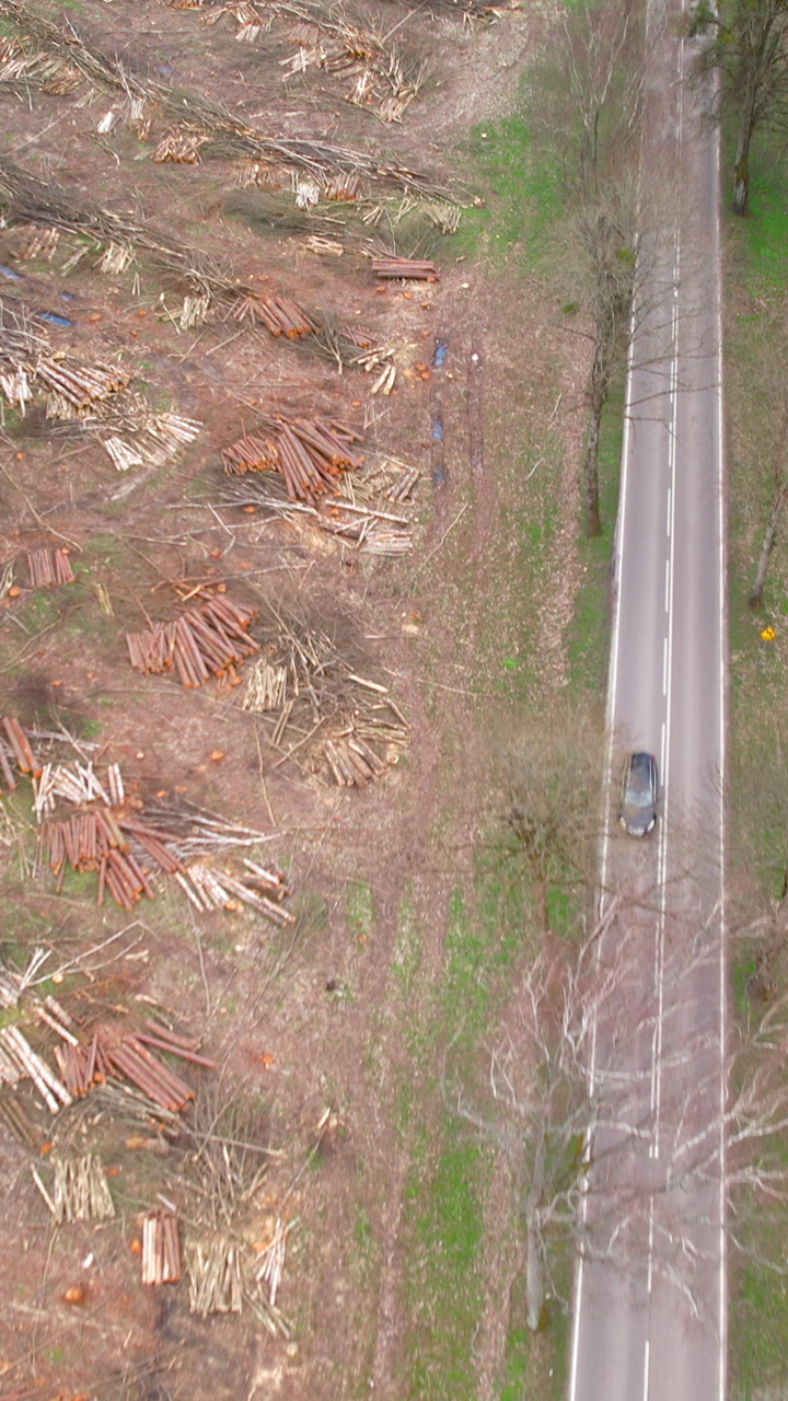 High angle aerial shot showing piles of cut logs in a deforested area next to a countryside road with a car driving through. Ideal for environmental and industrial concepts.