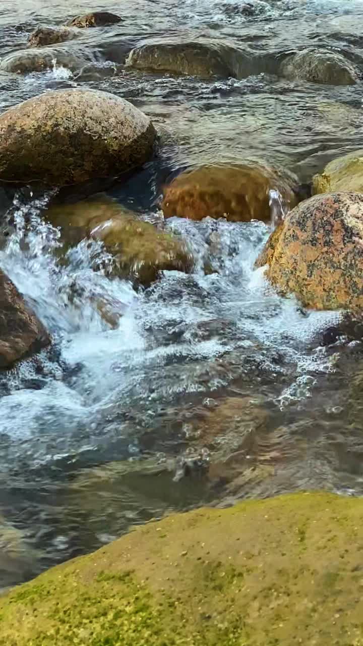 Torrente di montagna cristallino che scorre su massi coperti di muschio, con una vista verticale sull'acqua fresca e selvaggia e un paesaggio naturale rilassante. Sylhet, Bangladesh