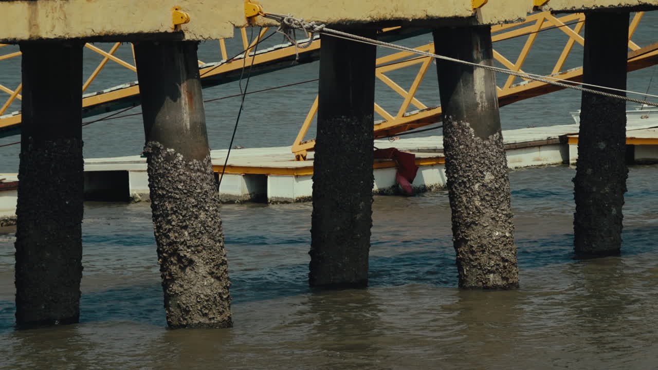 Old rotting bridge legs. Static shot