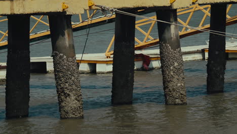 old rotting bridge legs. static shot