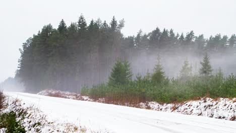 Beautiful-timelapse-of-low-moving-fog-over-the-pine-forest,-Nordic-woodland,-ground-covered-with-snow,-overcast-winter-day,-wide-panoramic-shot