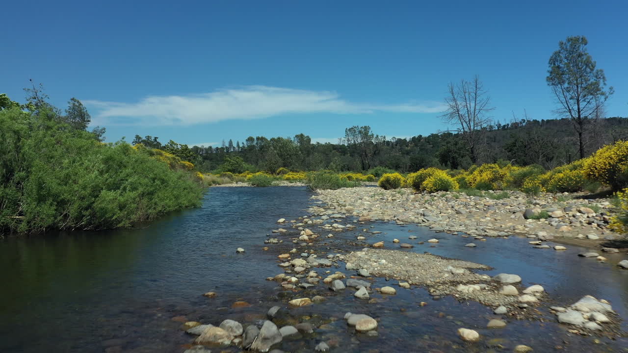 Sorvolo con drone di un ruscello gorgogliante nella California del Nord in un pomeriggio soleggiato con paesaggio dorato.