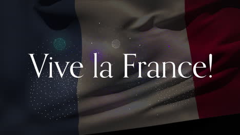 animation of vive la france text with french flag