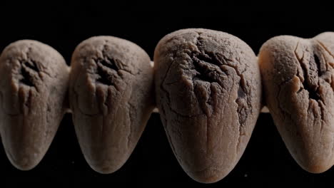 Close-up of Aged Teeth